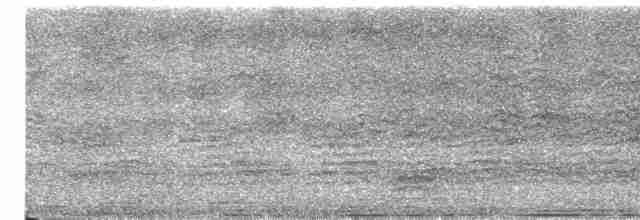 Cratérope gris - ML619269178