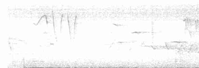 Чернокрылый личинкоед-свистун - ML619269580