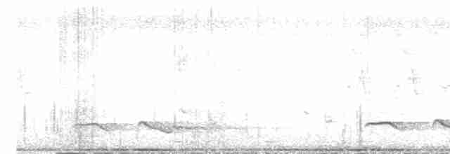 Зозуля білогорла - ML619269699