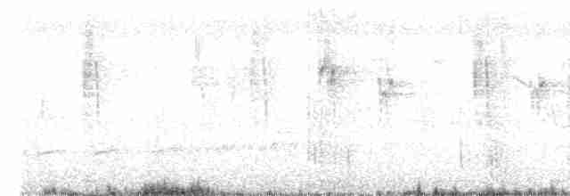 Зозуля білогорла - ML619269719