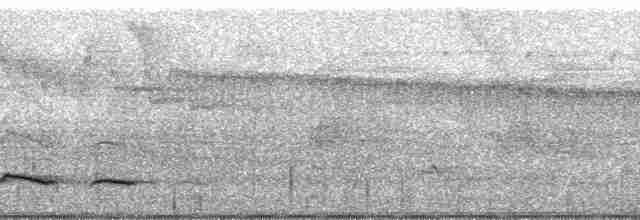 Batara à points blancs (tucuyensis) - ML61927