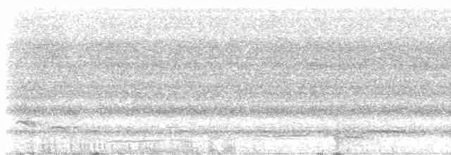 Malabar Whistling-Thrush - ML619270167