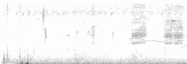 halsbåndfrankolin - ML619270213