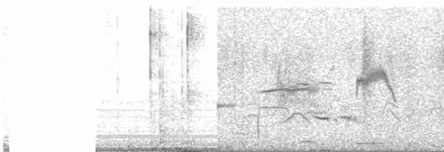 Средиземноморский жаворонок - ML619270786