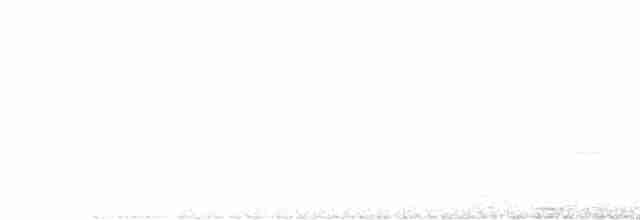 Cerulean Warbler - ML619270877