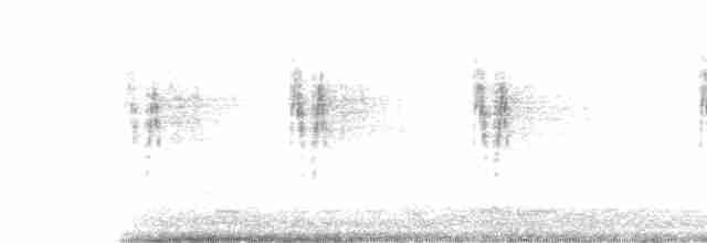 White Wagtail - ML619271206
