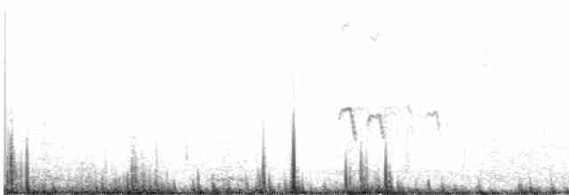 Коловодник болотяний - ML619271402