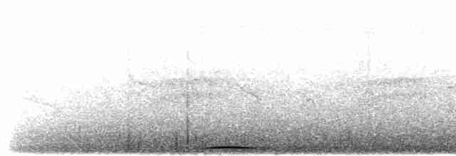 Boyalı Guguk Kumrusu - ML619271500