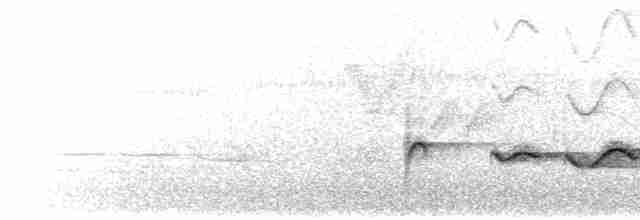 Белоухий лиотрикс - ML619271572