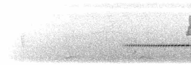 Kara Sırtlı Sibya - ML619271587