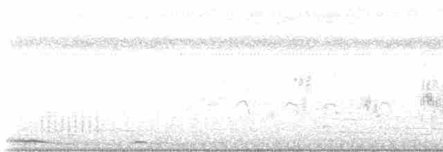 hrdlička kropenatá - ML619271705