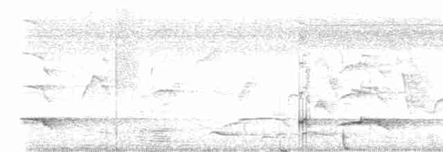 Haubenschlangenadler - ML619272348