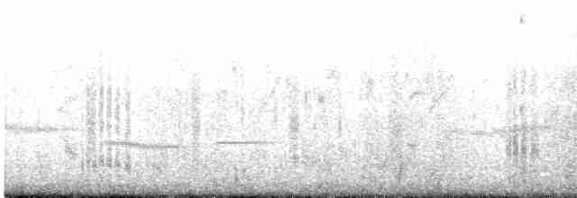 黑腹燕鷗 - ML619272385