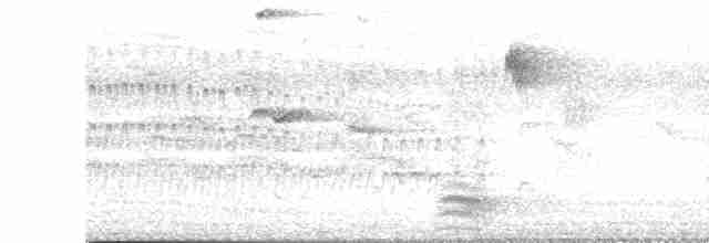 potápka malá - ML619272606