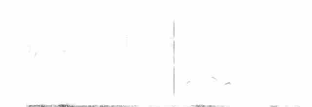 Western Orphean Warbler - ML619272627