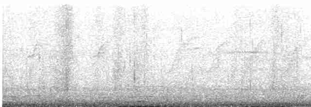 Clamorous Reed Warbler - ML619272663