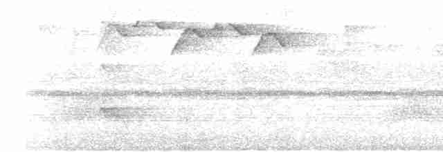 Gri Başlı Kanarya Sinekkapanı - ML619274084
