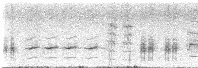 Great Reed Warbler - ML619275160