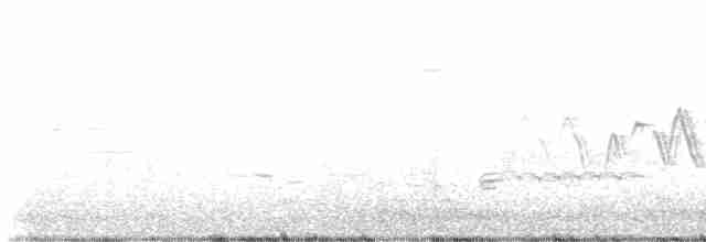 Common Yellowthroat - ML619275929