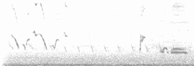 Тремблер прямодзьобий - ML619276065