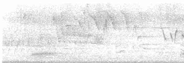 krkavec velký - ML619276155