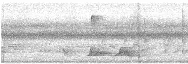 Yakut Boğazlı Kolibri - ML619276454