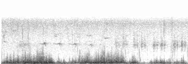 Great Reed Warbler - ML619276845