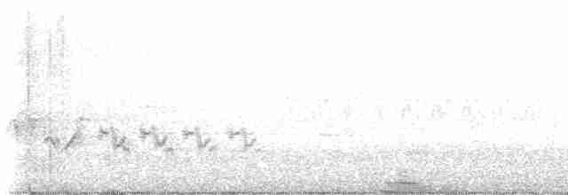 Amerika Çütresi (californicus) - ML619276846