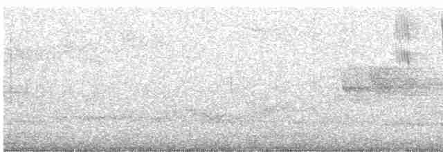 svarthvit fluesnapper - ML619276935