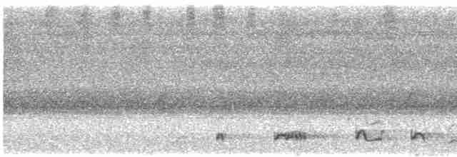 Серый петух - ML619277535