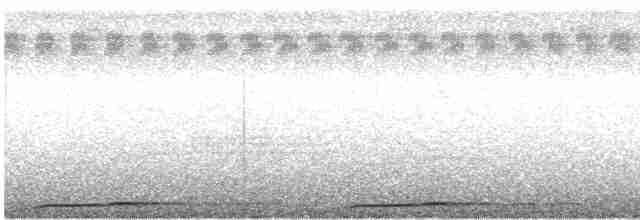 Сова-голконіг далекосхідна - ML619277746