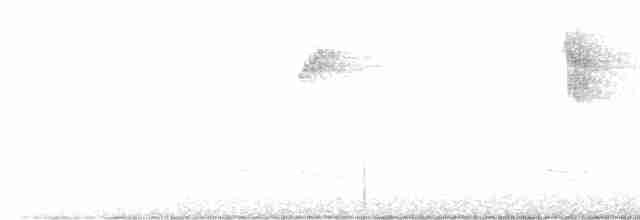 Spotted Flycatcher - ML619278092
