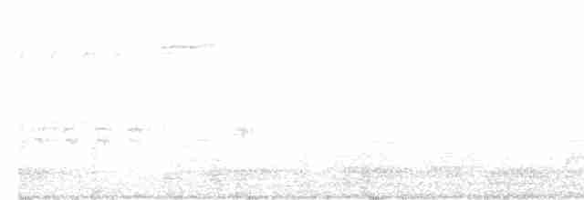 Cuervo Grande - ML619278138