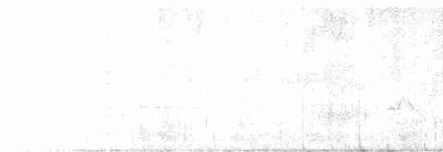 オリーブチャツグミ - ML619278630