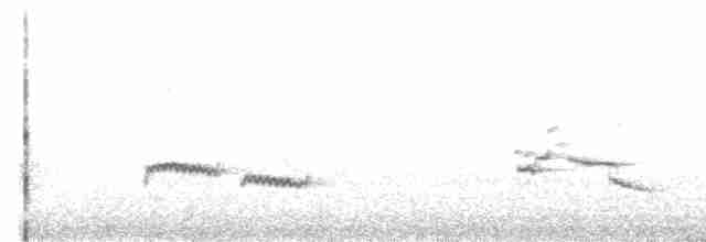 Magellandrossel (magellanicus/pembertoni) - ML619278831