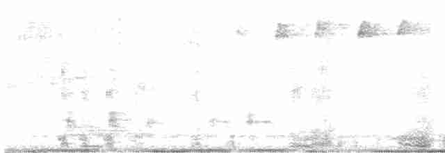 Blackpoll Warbler - ML619278997