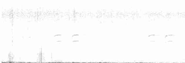 Шишкар білокрилий - ML619279377