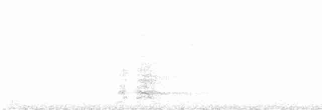 rødflikhonningeter - ML619279404