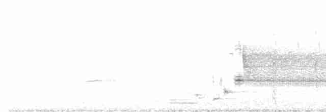 vlhovec červenokřídlý - ML619279456