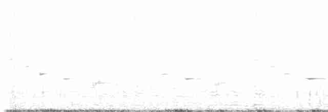 Psophode carillonneur - ML619279615