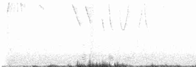 Strichelgrasschlüpfer (textilis) - ML619279678