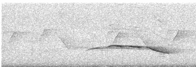 Puff-throated Babbler - ML619279800