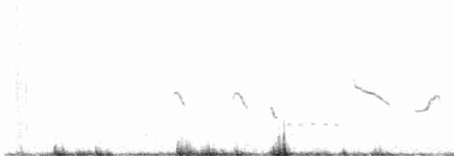 Séricorne roussâtre - ML619279855