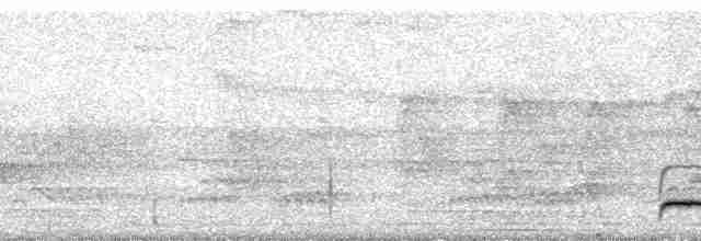 Batara à points blancs (tucuyensis) - ML61928