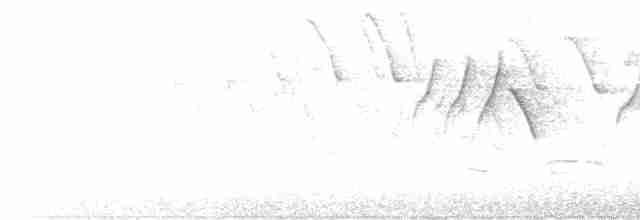 lesňáček černohlavý - ML619280004
