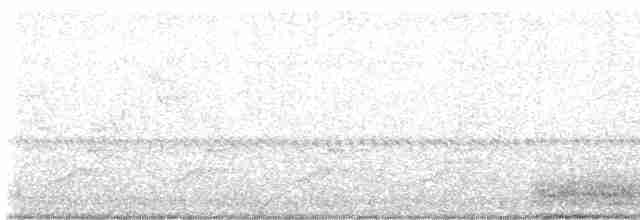 Common Yellowthroat - ML619280012
