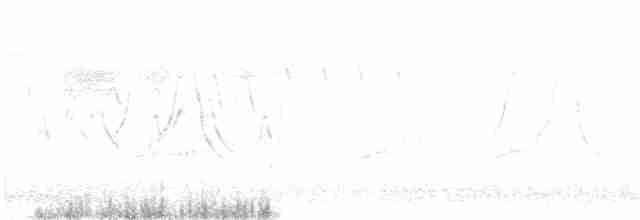Червоїд золотокрилий - ML619280034