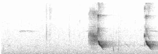 Méliphage carillonneur - ML619280067