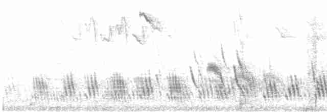 Büyük Mor Kırlangıç - ML619280123