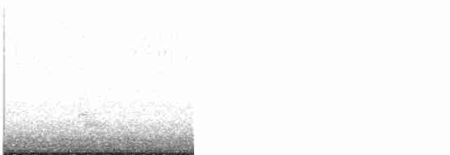 אנפית ירוקה - ML619281243